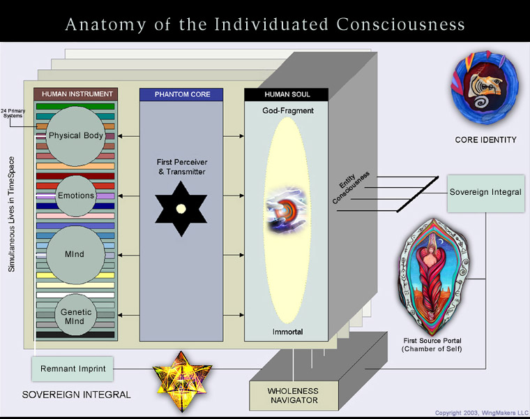 Anatomy Diagram